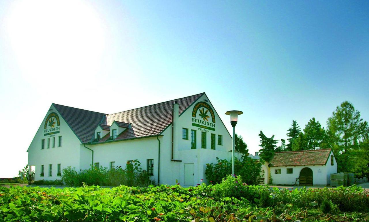 Hanfthal-Hof Laa an der Thaya Esterno foto